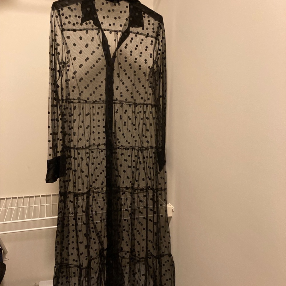 Zara Mesh Layover Dress Polkadot - Sheer
